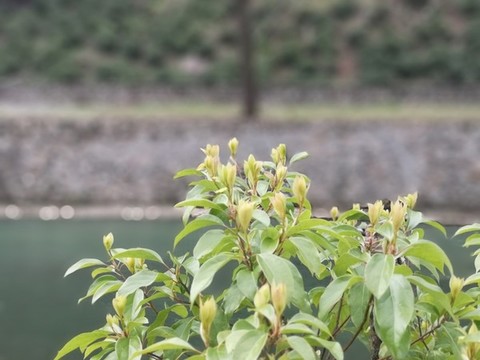 肖坑風光