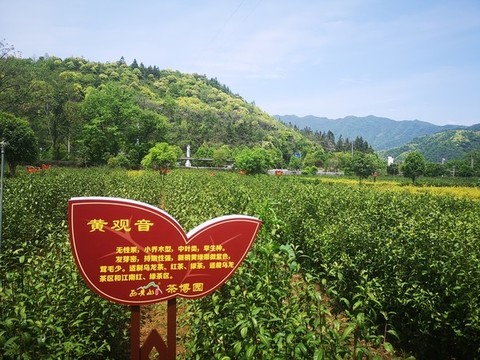 異型標(biāo)牌