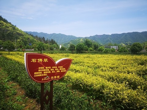標(biāo)牌