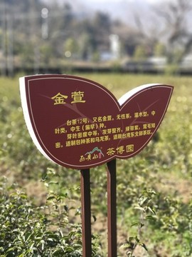 標(biāo)牌