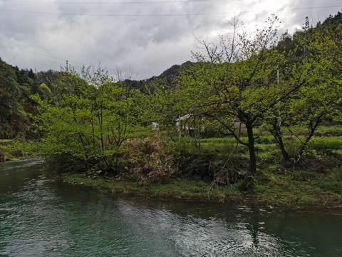 溪流
