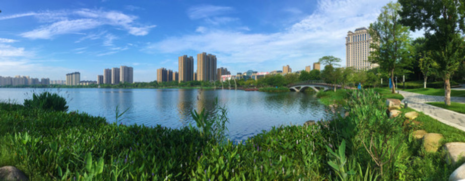 夏季龍池湖全景