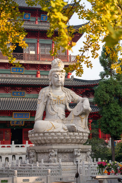 毗壚寺的秋