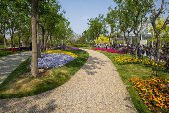 公園花草樹木