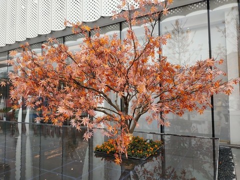 仿真紅楓