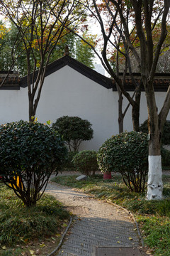 南京總統(tǒng)府后花園