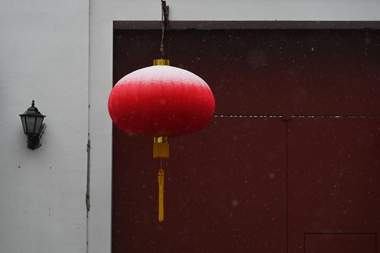 燈雪