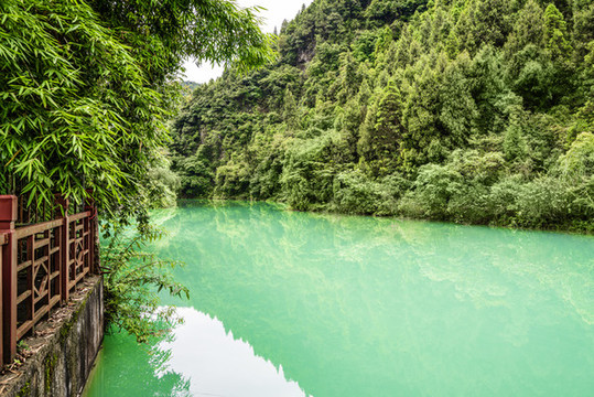 賨人谷夏日美景