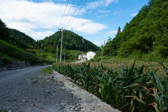 重慶巫山紅椿土家族鄉(xiāng)美麗風光