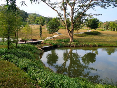 公園一角