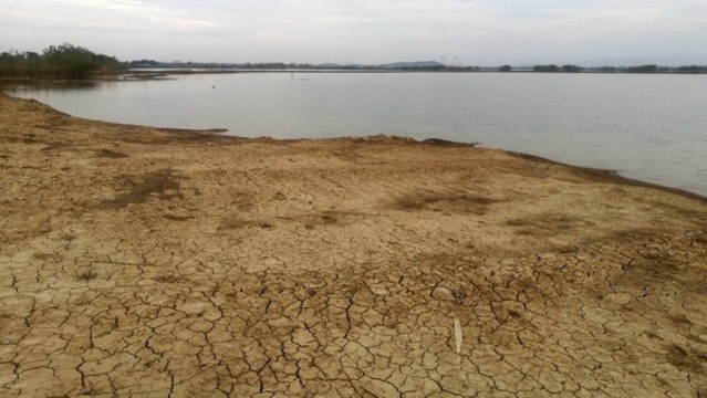 黃陂湖濕地