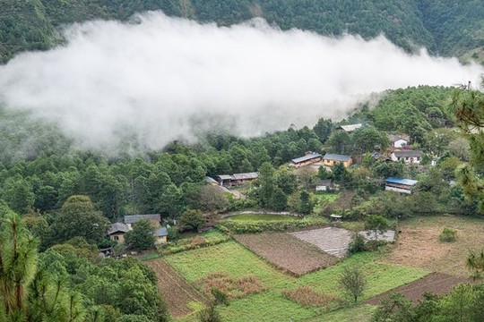 山村晨霧