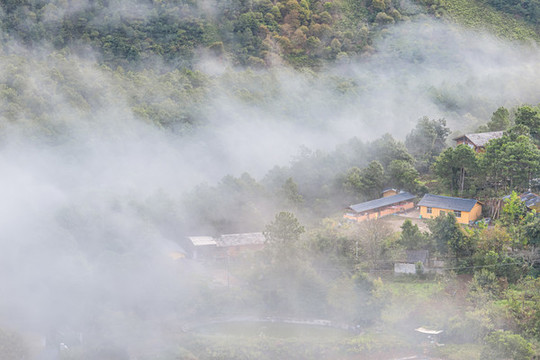 山村晨霧