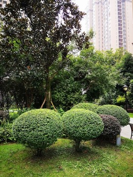 小區(qū)園林