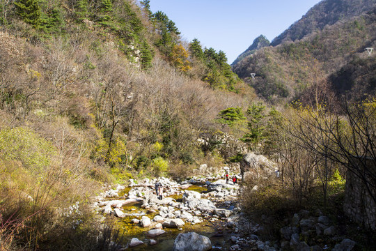 秦嶺山秋景