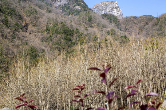 秦嶺山景觀