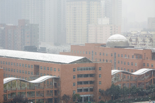 城市雪景