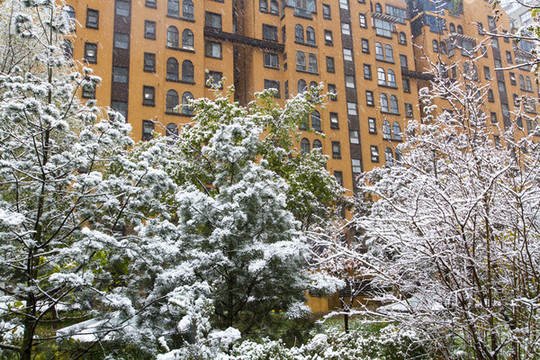 小區(qū)雪景