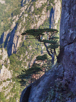 安徽黃山風(fēng)景區(qū)