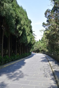 公園步行道