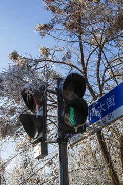 紅綠燈