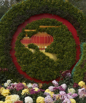 公園菊花展