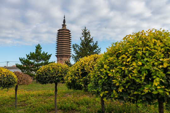 蔚州古城