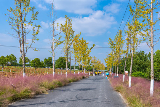 上海嘉北郊野公園
