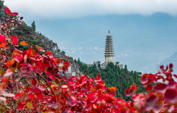 三峽紅葉似彩霞