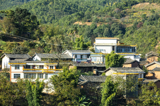 彝州農(nóng)村