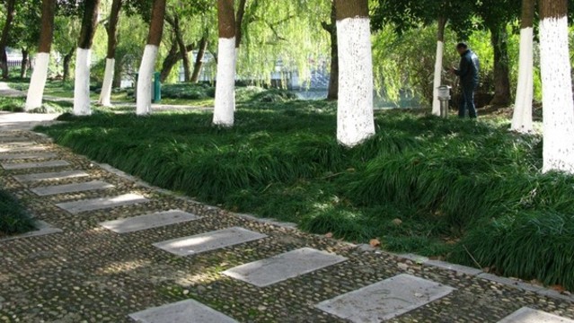 巢湖城市口袋公園之陸家河公園