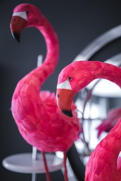 火烈鳥擺件