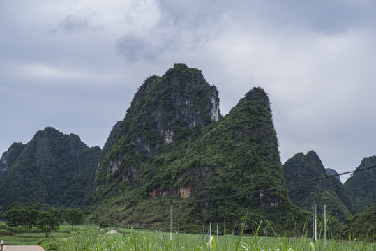 山