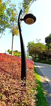 公園路燈