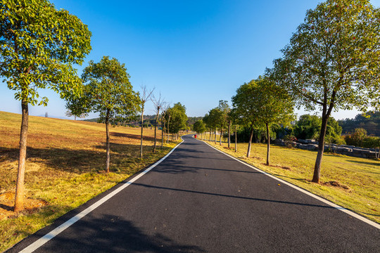 柏油路