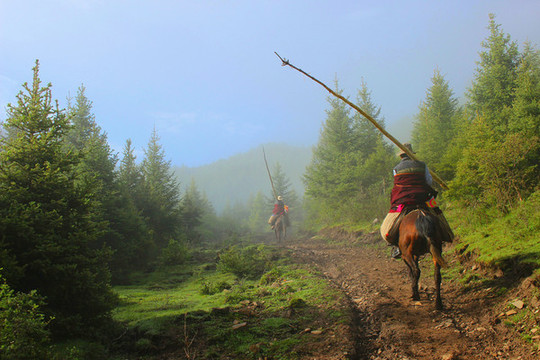騎馬上山