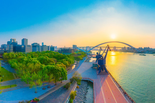 上海盧浦大橋