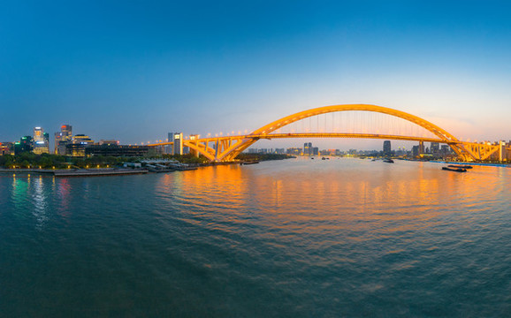 上海盧浦大橋夜景