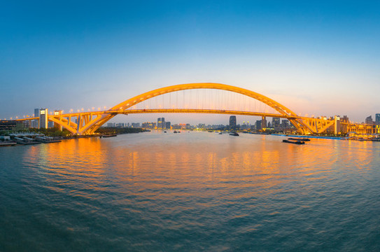 上海盧浦大橋夜景
