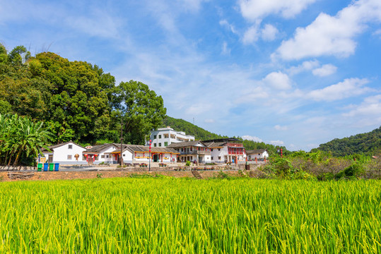 美麗鄉(xiāng)村