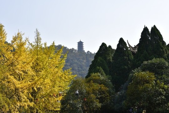 都江堰風(fēng)光