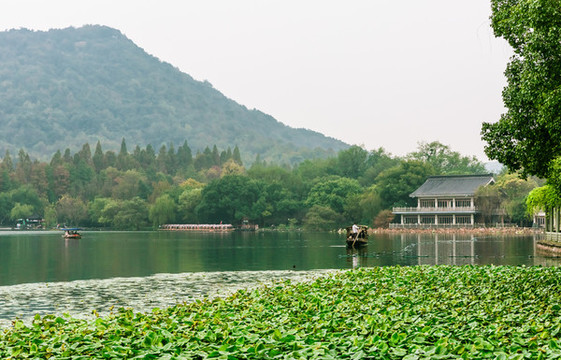 西湖美景