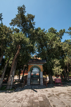 北海公園團(tuán)城玉甕亭
