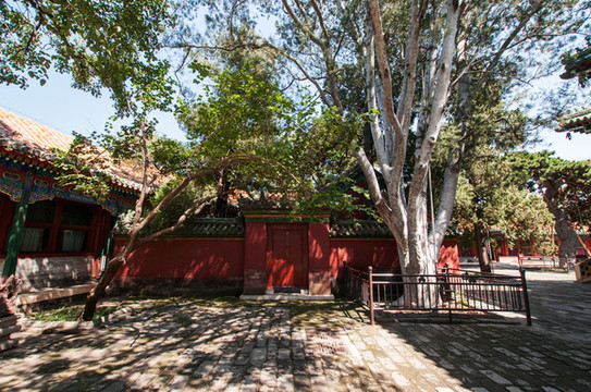 北海公園團(tuán)城