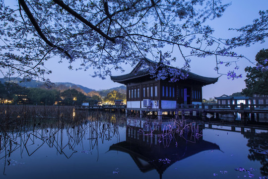杭州曲院風(fēng)荷公園春色