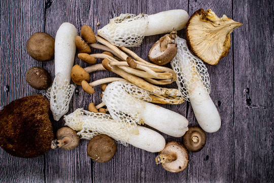 什錦食用菌