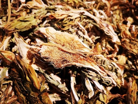 霸王花