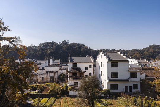 思溪延村風(fēng)景