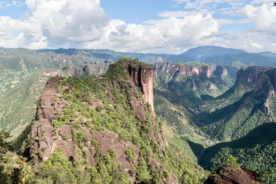 千龜山