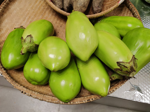 青茄子